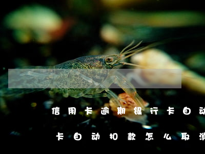 信用卡逾期银行卡自动扣款(信用卡逾期银行卡自动扣款怎么取消)