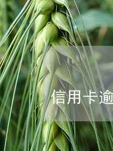 信用卡逾期银行卡身份证过期