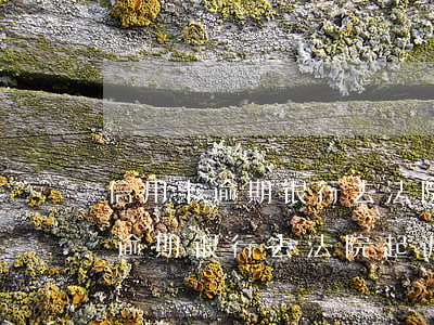 信用卡逾期银行去法院起诉要多久-信用卡逾期银行去法院起诉要多久才能开庭