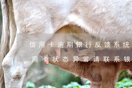 信用卡逾期银行反馈系统繁忙(银行反馈此信用卡状态异常,请联系银行客服)