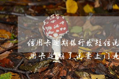 信用卡逾期银行发短信说上门(发短信说我信用卡逾期了说要上门是真的吗)
