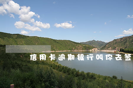 信用卡逾期银行叫你去签字