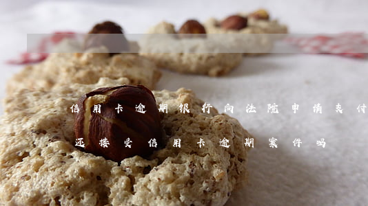 信用卡逾期银行向法院申请支付令(法院现在还接受信用卡逾期案件吗)