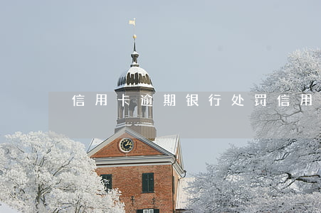 信用卡逾期银行处罚(信用卡逾期银行处罚)