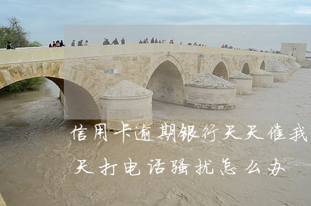 信用卡逾期银行天天催我(信用卡逾期催收天天打电话骚扰怎么办)