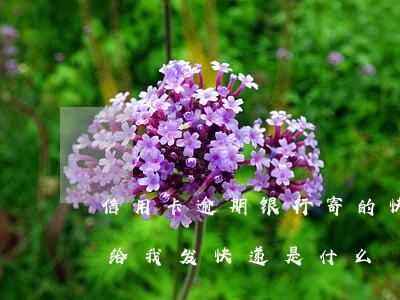 信用卡逾期银行寄的快递是什么(逾期后银行给我发快递是什么)