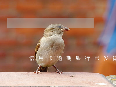 信用卡逾期银行已发律师函 欠信用卡律师函