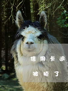 信用卡逾期银行房贷拒批(房贷批了信用卡却被拒了)
