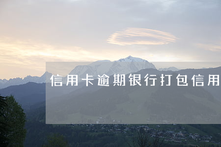 信用卡逾期银行打包(信用卡逾期银行打包)