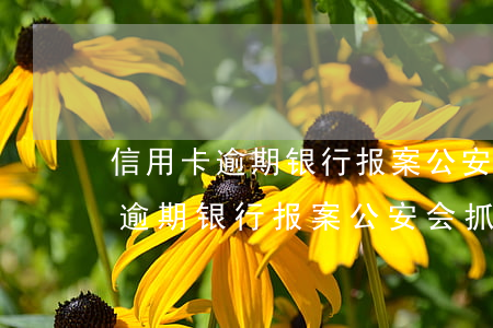 信用卡逾期银行报案公安会抓人吗-信用卡逾期银行报案公安会抓人吗知乎