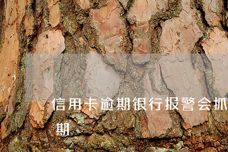 信用卡逾期银行报警会抓吗(被抓了信用卡逾期)