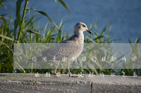 信用卡逾期银行提起诉讼怎么撤案-信用卡逾期银行提起诉讼怎么撤案呢