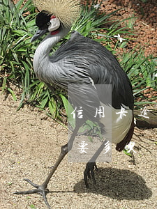 信用卡逾期 银行撤诉-信用卡逾期 银行撤诉要多久