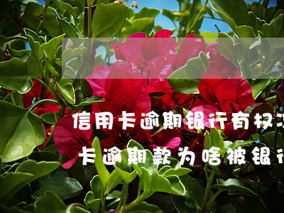 信用卡逾期银行有权冻结账户吗(还清了信用卡逾期款为啥被银行把卡冻结了)
