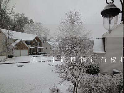 信用卡逾期银行有权扣按揭车吗