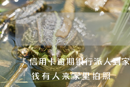 信用卡逾期银行派人到家里拍照(欠信用卡的钱有人来家里拍照)