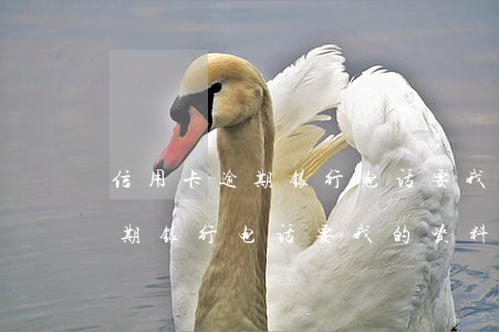 信用卡逾期银行电话要我的资料-信用卡逾期银行电话要我的资料怎么办