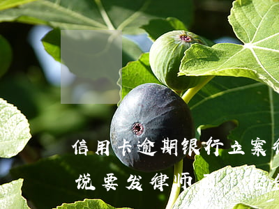 信用卡逾期银行立案律师函-欠信用卡不还说要发律师函、控告函