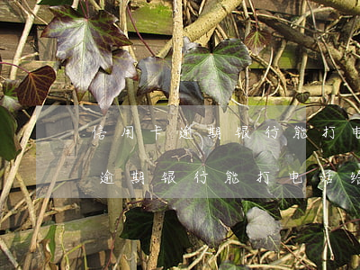 信用卡逾期银行能打电话给父母吗-信用卡逾期银行能打电话给父母吗知乎
