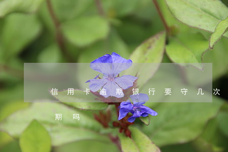 信用卡逾期银行要守几次费(银行卡年费算逾期吗)