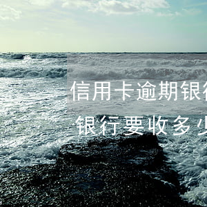 信用卡逾期银行要收多少利息-信用卡逾期银行要收多少利息