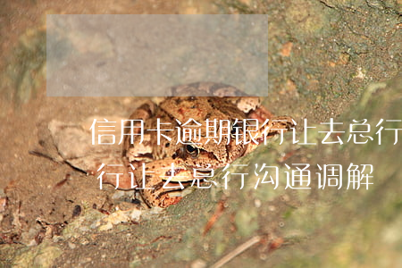信用卡逾期银行让去总行沟通(信用卡逾期银行让去总行沟通调解)