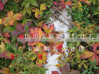 信用卡逾期银行让去签法律文书(银行对信用卡逾期怎么处理)