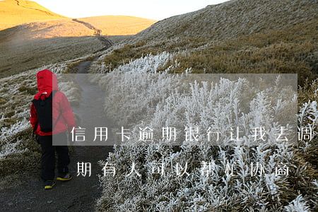 信用卡逾期银行让我去调解(网上说信用卡逾期有人可以帮忙协商)