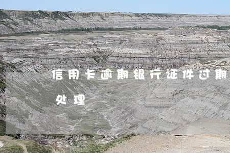 信用卡逾期银行证件过期(已过期信用卡怎么处理)