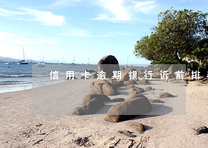 信用卡逾期银行诉前排查(银行卡逾期征信)