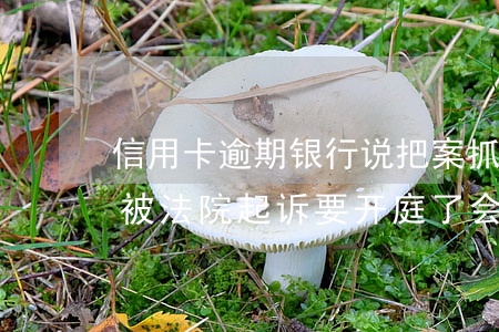 信用卡逾期银行说把案抓人-欠银行信用卡被法院起诉要开庭了会捉人吗