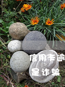 信用卡逾期银行说是诈骗（信用卡逾期银行说是诈骗）