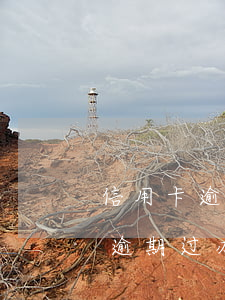 信用卡逾期银行说要升级处理(如果你信用卡逾期过办银行卡有关系吗)
