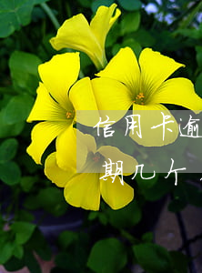 信用卡逾期银行说要我签字起诉 我信用卡逾期几个月了他们说要告我上法院