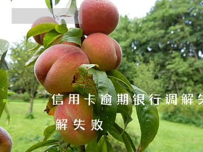 信用卡逾期银行调解失败(信用卡逾期银行调解失败)