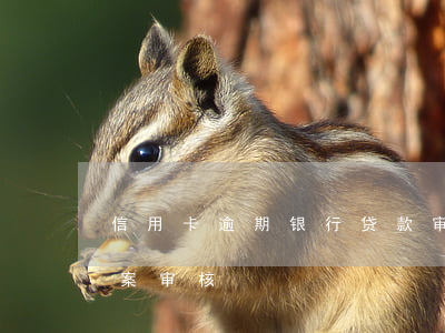 信用卡逾期银行贷款审批(信用卡逾期通过立案审核)