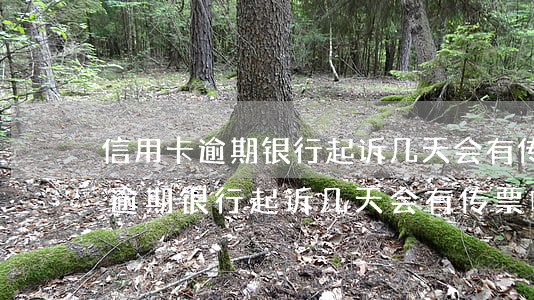 信用卡逾期银行起诉几天会有传票-信用卡逾期银行起诉几天会有传票吗
