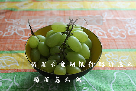 信用卡逾期银行起诉怎么做(信用卡逾期银行起诉怎么做)