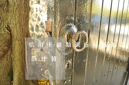 信用卡逾期银行起诉怎么算金额 银行逾期金额计算