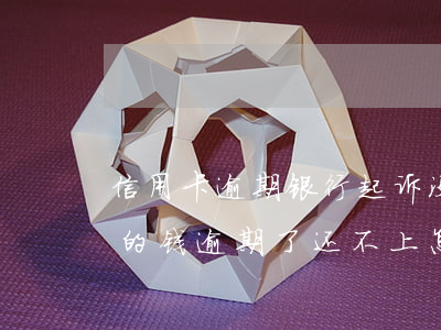 信用卡逾期银行起诉没钱还怎么办(欠信用卡的钱逾期了还不上怎么办)