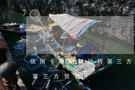 信用卡逾期银行转第三方 信用卡逾期银行转第三方贷款