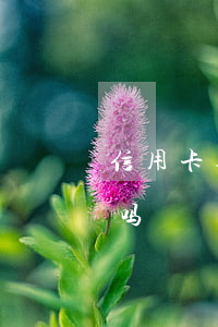信用卡逾期银行还全款(信用卡逾期要还全款吗)