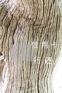 信用卡逾期银行还全款可以吗（信用卡逾期银行还全款）