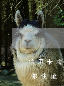 信用卡逾期银行问你住址(信用卡逾期银行问你住址)