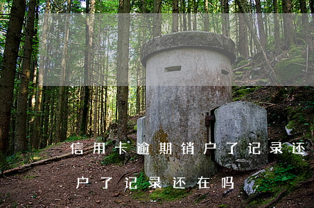 信用卡逾期销户了记录还在吗(信用卡逾期销户了记录还在吗)