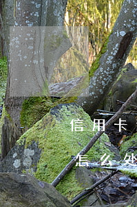 信用卡逾期锁储蓄卡怎么处理-逾期锁卡后怎么处理