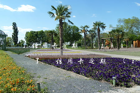 信用卡逾期長(zhǎng)了就不能借錢了嗎(信用卡逾期長(zhǎng)了就不能借錢了嗎)