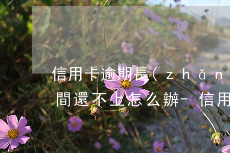 信用卡逾期長(zhǎng)時(shí)間還不上怎么辦-信用卡逾期長(zhǎng)時(shí)間還不上怎么辦呢
