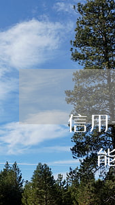 信用卡逾期長時間失聯會坐牢嗎(欠信用卡失聯能躲多久)