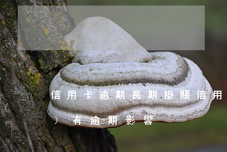 信用卡逾期長期掛賬 信用卡 曾經(jīng)有逾期 影響